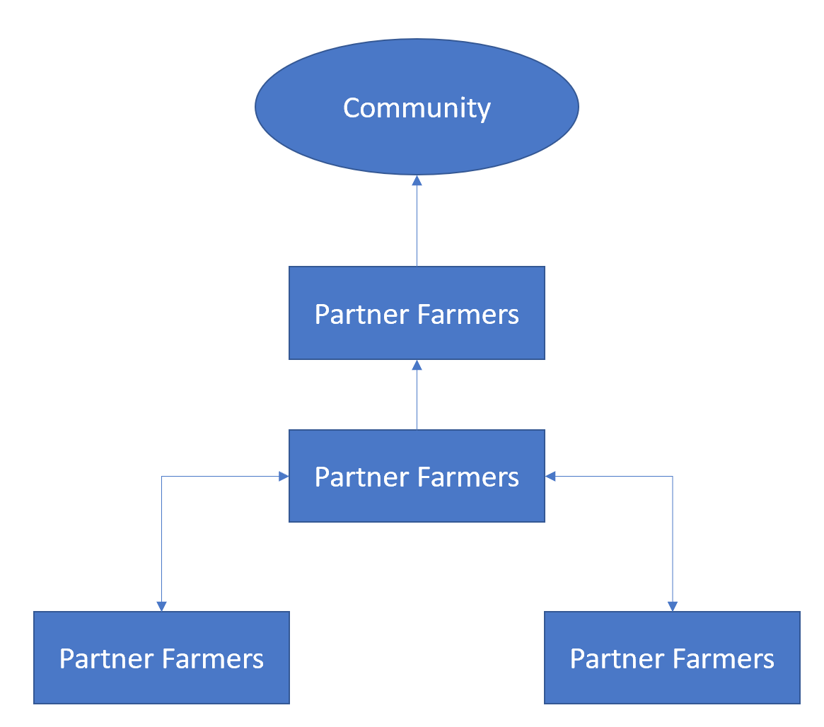 Part of a detail-level business architecture definition requires that various types of diagrams must be developed using a standardized modeling notation to capture and represent the various views of a 2